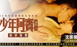 MD0165-3 少年阿宾-篇章三 初识钰慧 沈娜娜
