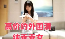高价约外围清纯乖乖女