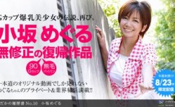 はだかの履歴书No.ト10.