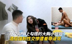 1社交APP上勾搭的大胸小姐姐，酒后强制性𝕄𝕚𝕤𝕤𝔸𝕍[xing]交惨遭羞辱谩骂