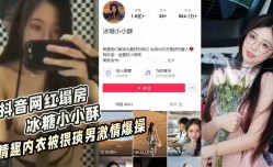 抖音网红塌房 冰糖小小酥 情趣内衣被猥琐男激ji情爆bao𝕄𝕚𝕤𝕤𝔸𝕍-🔞操