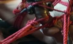 网红男女通吃SM调教御姐maya女王订阅绳缚虐乳拘束强制高潮鞭打DID-(8)