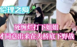 死缠烂打下姐姐才同意出来MissAV-18 Video在大桥地下野战