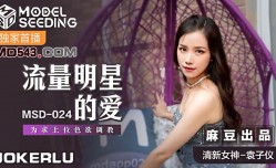MSD024 流量明星的愛 袁子儀